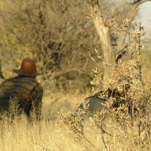 Stalking for a Red Hartebeast, Namibia