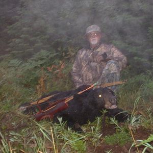 Bear meets Buffalo Bow, Idaho