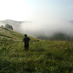 Hunting in Hungary