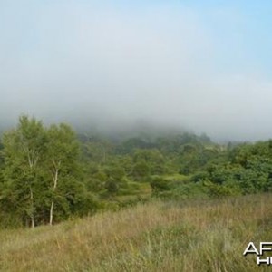 Hunting in Hungary