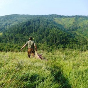 Hunting Boar in Hungary