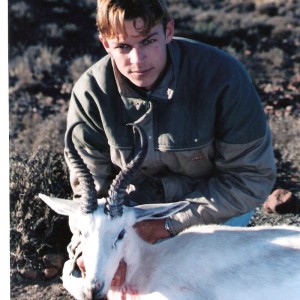 White Springbuck hunt