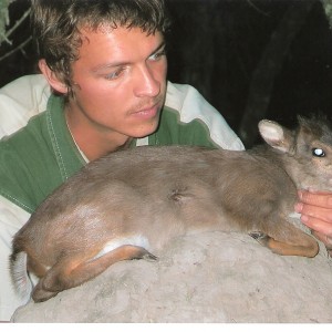 Blue Duiker hunt