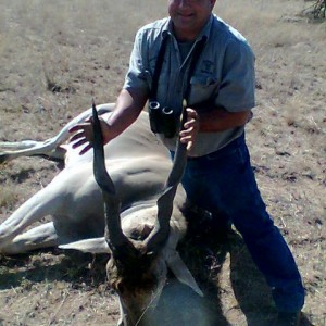 look at this nice eland...