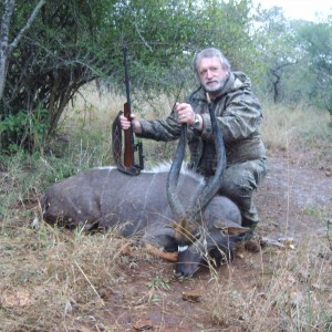 31" Nyala