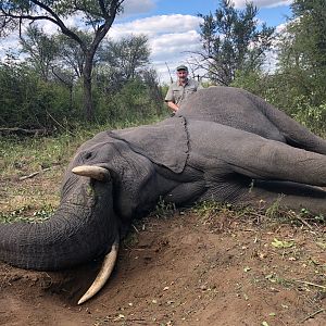 Zimbabwe Hunt Elephant