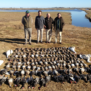 Hunting Duck in Argentina