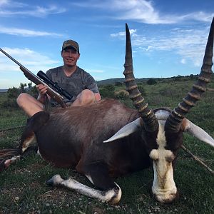 South Africa Hunting Blesbok