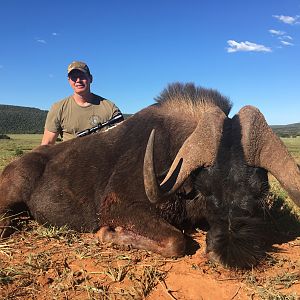 Hunting Black Wildebeest in South Africa