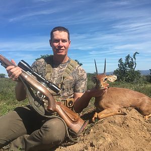 Steenbok Hunt South Africa