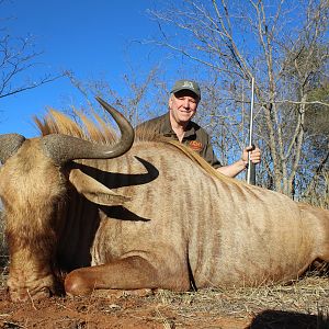 Golden Wildebeest Hunt South Africa