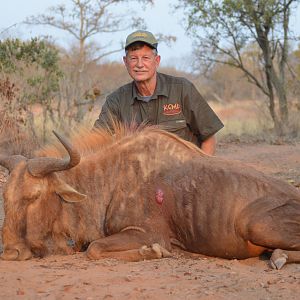 Hunt Golden Wildebeest in South Africa