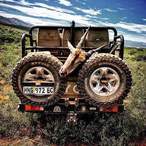 Hunting Eland in South Africa