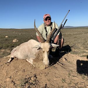 South Africa Hunting White Blesbok