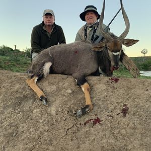 South Africa Hunt Nyala