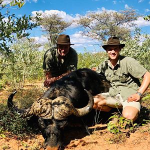 Cape Buffalo Hunt Namibia