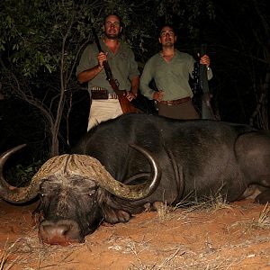 Hunt Buffalo in Namibia