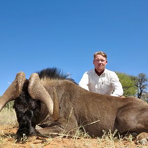 Hunt Black Wildebeest in Namibia