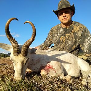 Hunt White Springbok in South Africa