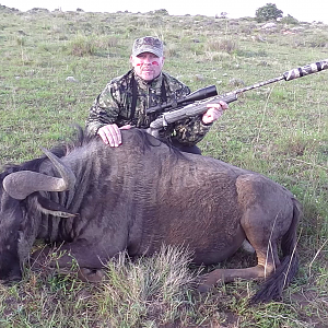 Blue Wildebeest Hunt South Africa