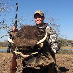 South Africa Hunting Warthog