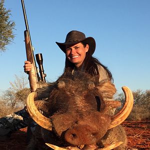 Hunt Warthog in Namibia