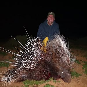 Hunt African Porcupine in South Africa