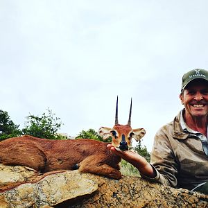 Hunt Steenbok in South Africa