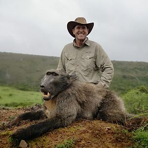 Baboon Hunting South Africa