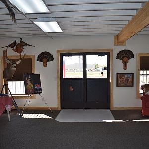 Top of Texas Taxidermy New Showroom and Studio