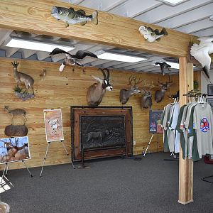 Top of Texas Taxidermy New Showroom and Studio