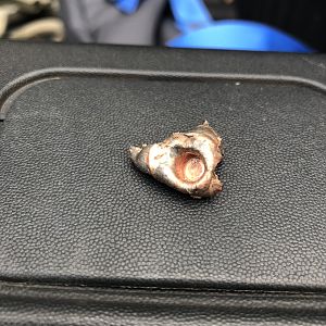 145gr Grand Slam Bullet Performance