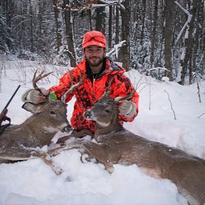 USA Hunt White-tailed Deer