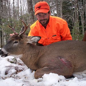 Hunting White-tailed Deer in USA