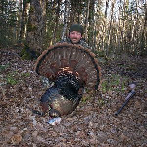 Hunt Turkey in USA