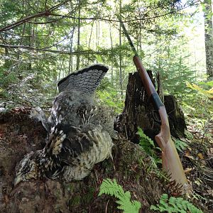 USA Upland Hunting Prairie-chickens