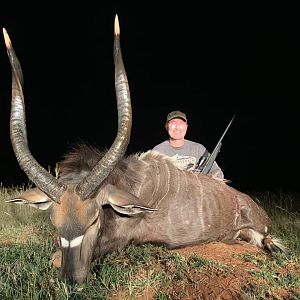 South Africa Hunt Nyala