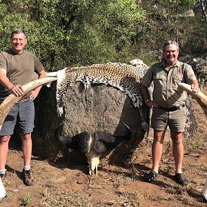 Hunt Elephant, Leopard & Cape Buffalo in Zimbabwe