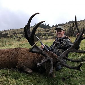 New Zealand Hunt Red Stag