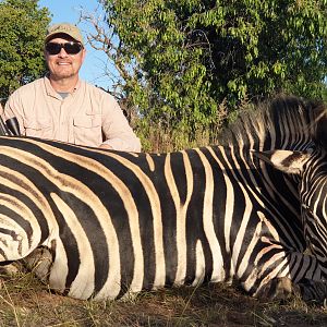 Burchell's Plain Zebra Hunting South Africa