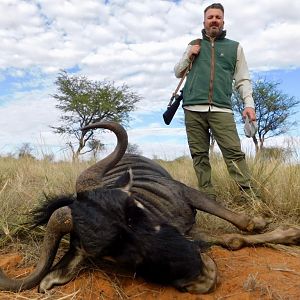 Namibia Hunt Blue Wildebeest