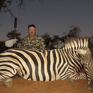 Hunt Burchell's Plain Zebra in Namibia