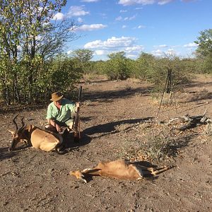 Red Hartebeest Hunt Namibia