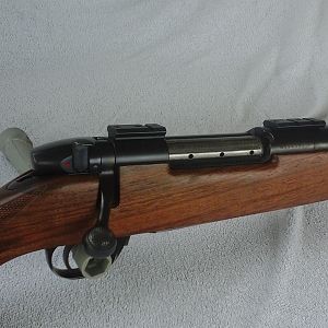 Weatherby Euromark 460 Rifle