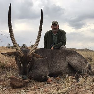 Waterbuck Hunting South Africa