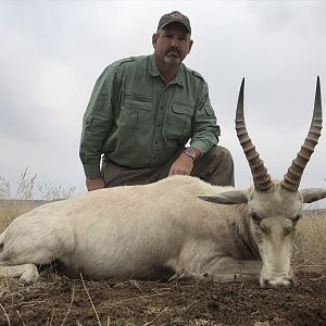 South Africa Hunt White Blesbok