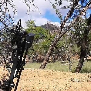 Bow Hunting Fallow Deer in South Africa