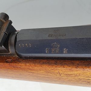 Mauser 71/84 Black powder rifles