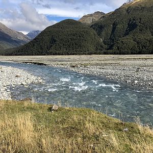 New Zealand Hunt Tahr