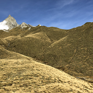 Tahr Hunting New Zealand